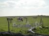 Cows grazing by the measuring equipment