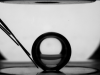 Formation d’une bulle à l’intérieur de la cellule d’ébullition