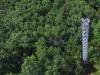 MOFLUX site met 32m hoge toren die uitkijkt over het bos in Missouri