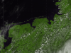 Simulation of a MODIS-like satellite image