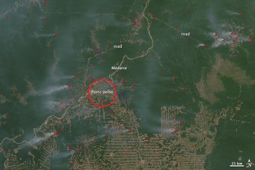 Rondônia, the Brazilian state where deforestation has been the most intensive in the last decades
