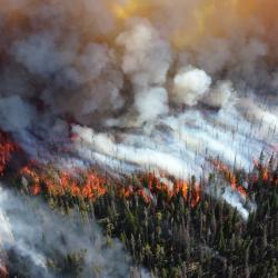 Emissions d'acide nitreux (HONO) feux de forêt 