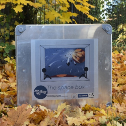 MOMSTER box