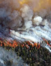 Nitrous acid (HONO) emissions from wildfires