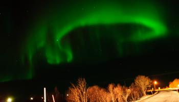 Aurora in the Norwegian Lofoten. Credit: Jeroen van Gent.