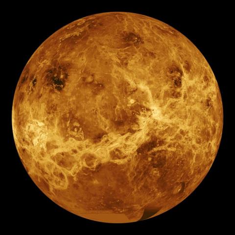 Venus surface